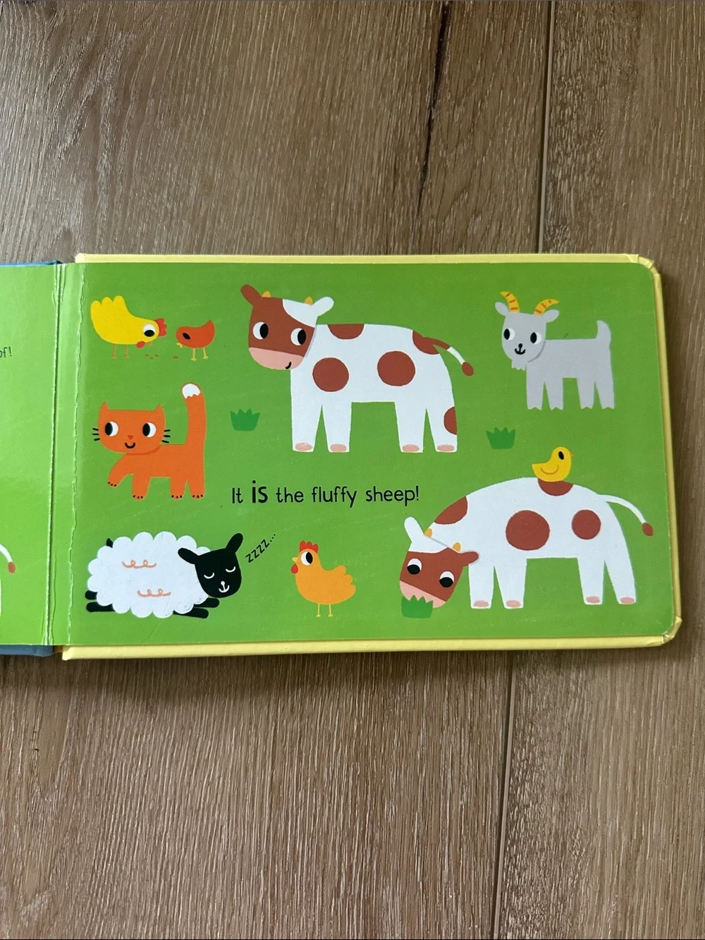 Usborne Who's Fallen Asleep? Board Book - Blue